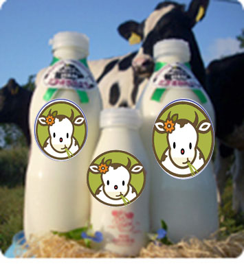 Milk
